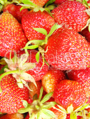 Set of a ripe strawberry