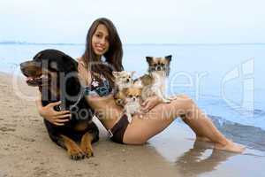 chihuahuas and girl on the beach