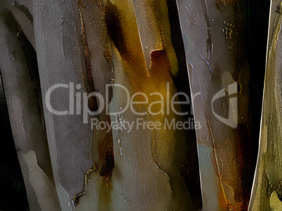 3D Tree bark