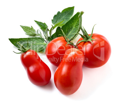 Ripe Tomatoes with leaves