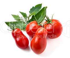 Ripe Tomatoes with leaves