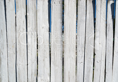 Weathered white wood