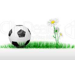 Football in grass