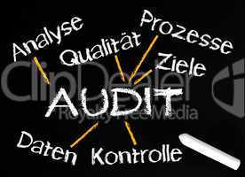 AUDIT