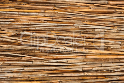 Detail of reed fence