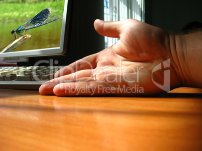 The hand of the person near a computer