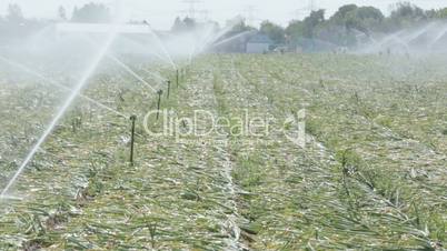 agricultural irrigation