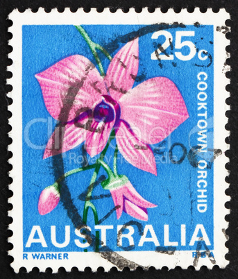 Postage stamp Australia 1968 Cooktown Orchid, Queensland, State