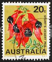 Postage stamp Australia 1968 Sturt's Desert Pea, South Australia