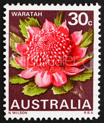 Postage stamp Australia 1968 Waratah, New South Wales, State Flo