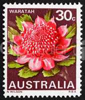 Postage stamp Australia 1968 Waratah, New South Wales, State Flo