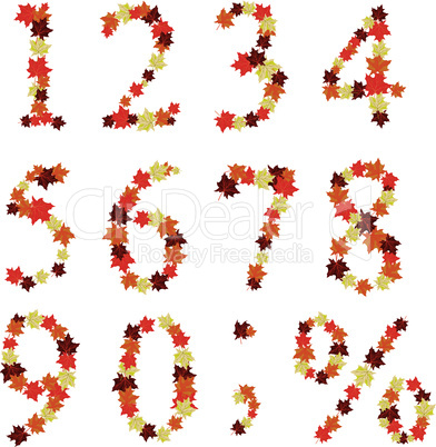 Autumn maples leaves numeral