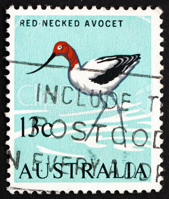 Postage stamp Australia 1966 Red-necked Avocet