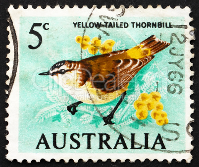 Postage stamp Australia 1966 Yellow-Tailed Thornbill