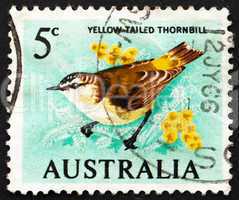 Postage stamp Australia 1966 Yellow-Tailed Thornbill