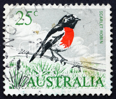 Postage stamp Australia 1966 Scarlet Robin, Passerine Bird