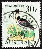Postage stamp Australia 1966 Straw-necked Ibis