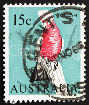 Postage stamp Australia 1966 Galah on Tree Stump