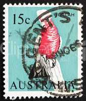 Postage stamp Australia 1966 Galah on Tree Stump