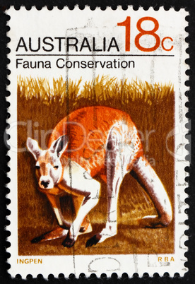 Postage stamp Australia 1971 Kangaroo