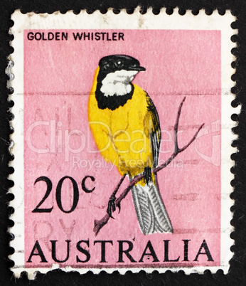 Postage stamp Australia 1966 Golden Whistler