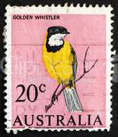 Postage stamp Australia 1966 Golden Whistler