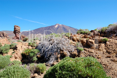 Volcano Teide at background. Tenerife island, Spain