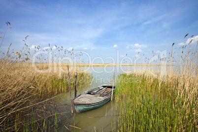 Old rowing boat among the reeds