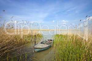 Old rowing boat among the reeds