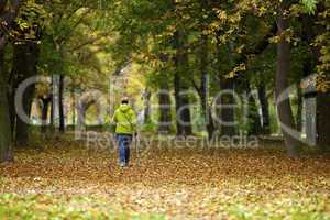 nordic walking woman in vibrant autumn forest