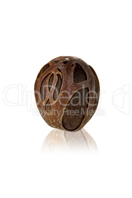 Nutmeg with dried shell