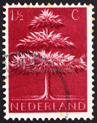 Postage stamp Netherlands 1943 Triple-crown Tree