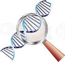 DNA helix under magnifying glass in focus of attention, biochemistry