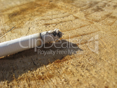 Image of fuming cigarette laying on a tree
