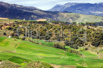 Andalusia Landscape