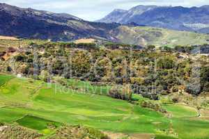 Andalusia Landscape