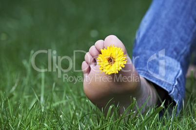 einzelne gelbe Blume zwischen den Zehen