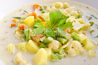 substantial vegetable soup