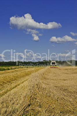 Combine harvester