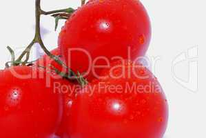 tomaten mit tropfen nah