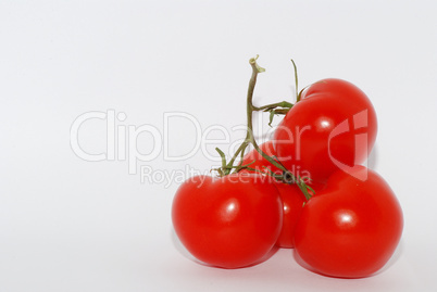 tomaten auf weiss rechts