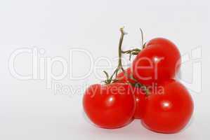 tomaten auf weiss rechts