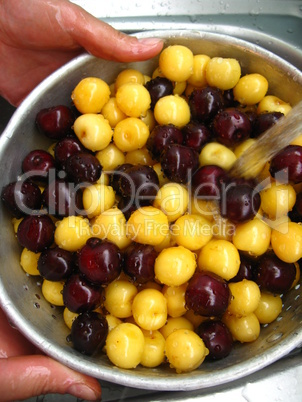 Berries of a sweet cherry under jet of water