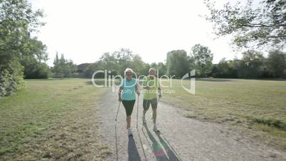 senior nordic walking couple