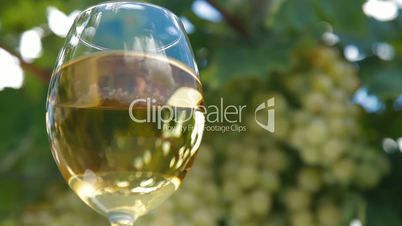 White Grape and Wine Glass