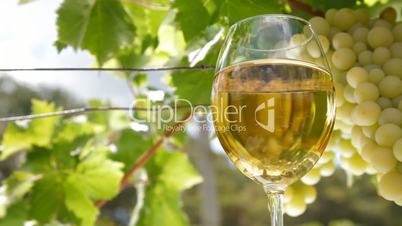 White Grape and Wine Glass