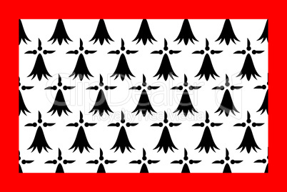 Limousin flag