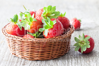 Erdbeeren / strawberries