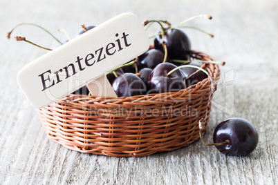 Kirschen im Korb / cherries in a basket