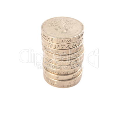 Pound coin